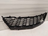 Lower Grille